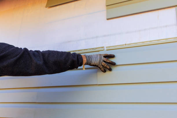 Best Siding Painting and Refinishing  in Hermitage, PA