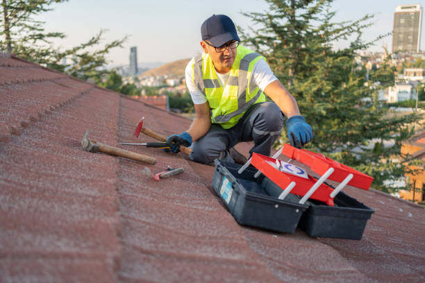 Best Storm Damage Siding Repair  in Hermitage, PA